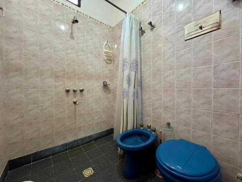 a bathroom with a blue toilet and a shower at La Pantera in San Antonio de Arredondo