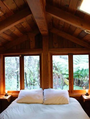 a bedroom with a bed with two pillows and two windows at Beautiful Cedar Cottage in Volcano in Volcano