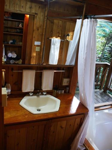 a bathroom with a sink and a shower at Beautiful Cedar Cottage in Volcano in Volcano
