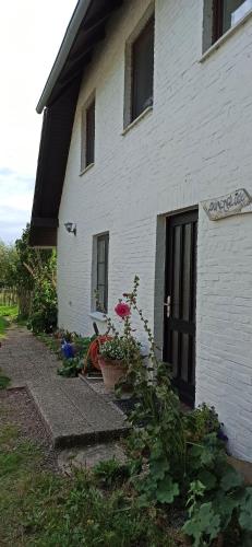 Landhaus-Sutje-Duenenglueck photo 10