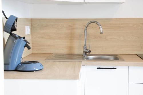 a kitchen counter with a sink and a mixer at Appartement à thermal in Nancy