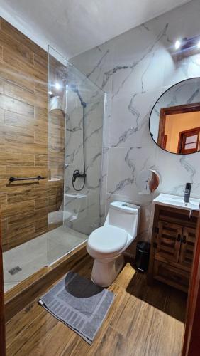 ein Badezimmer mit Dusche, Toilette und Waschbecken in der Unterkunft Wanderlust Hostel B & B in Santiago