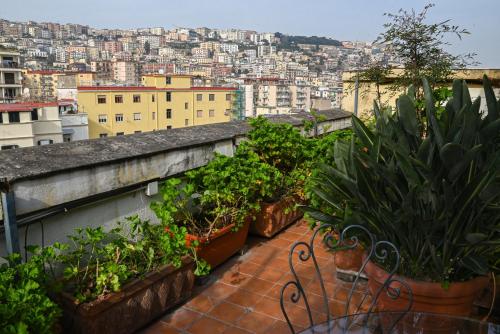 B&B Casamiranapoli