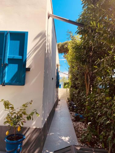 a stairway leading up to a house with a blue window at La Casetta di Dante in Marina di Carrara