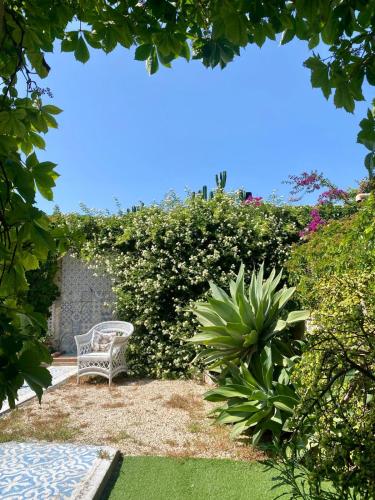 a bench sitting in the middle of a garden at Dimora Quattro Vanelle in Favignana