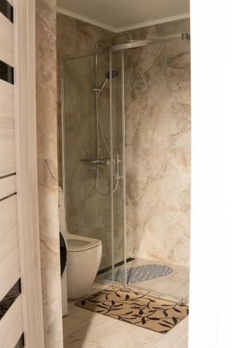 a bathroom with a shower with a toilet at Vistachalet in Yablunytsya
