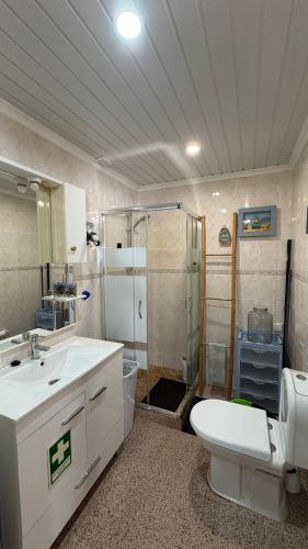 a bathroom with a toilet and a sink and a shower at Shell's Apartment in Praia do Carvoeiro