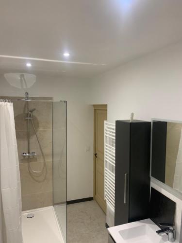 a bathroom with a shower and a glass shower stall at Chambre cosy avec salle de bain privée et piscine au calme in Saint-Sylvestre-sur-Lot