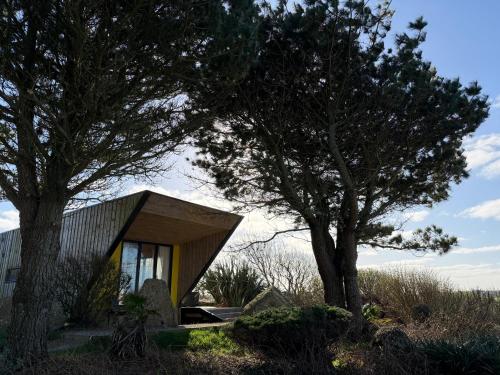 a small house in a field with two trees at The Timber Lodge - Sennen Holiday Home in Sennen