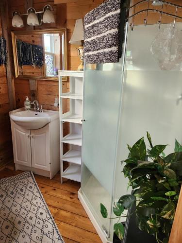 a bathroom with a shower and a sink and a toilet at Cable Head Oceanview Casita in Saint Peters