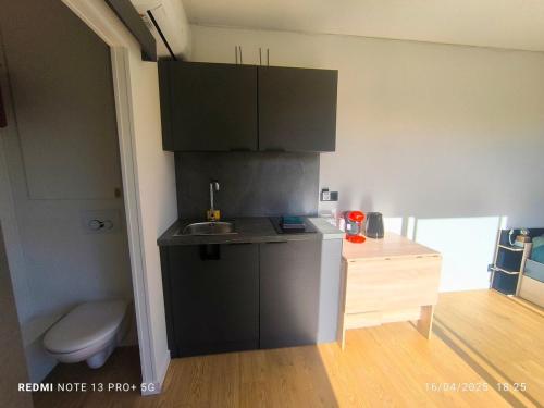 a small kitchen with black cabinets and a sink at Tiny House, 12mn du Parc, Terrasse & Clim in Châteaumur