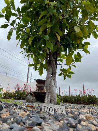 Nature Escape Tenerife