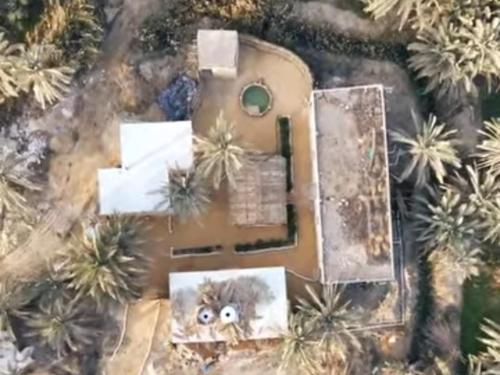 نيو كليوباترا New cleopatra