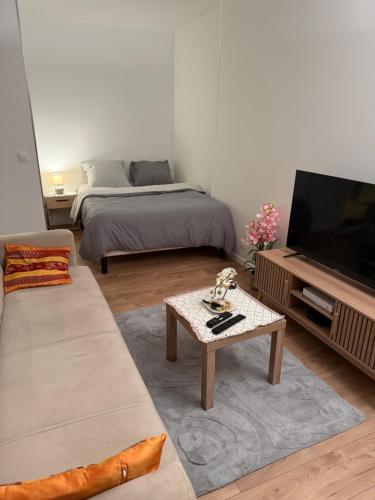 a living room with a couch and a flat screen tv at Charmant appartement proche Val Europe Disneyland paris in Torcy