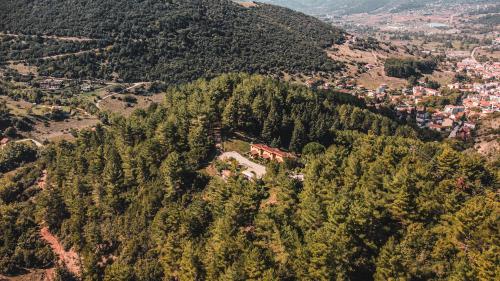 a house on top of a hill with trees at Aphrodite's Inn Kalavrita in Kalavrita