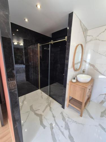 a bathroom with a shower and a sink at La clé des songes in Cellefrouin