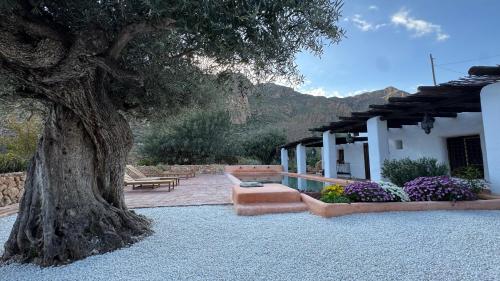 Cortijo rural la alberca