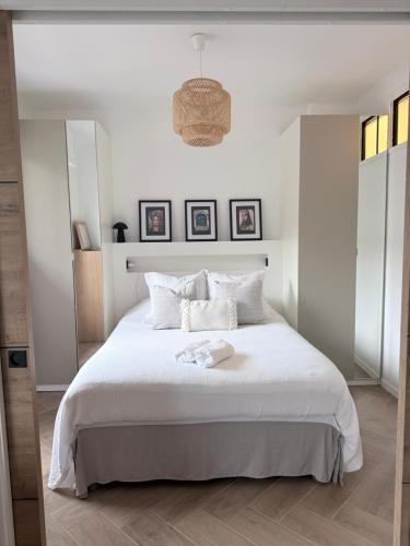Premium address for trade shows and conferences in Cannes 5min walk to Palais des Festivales