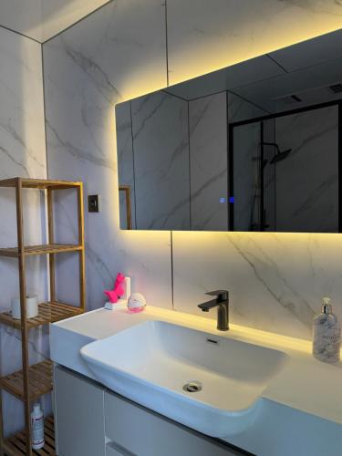 a bathroom with a sink and a large mirror at Maison du Future in Capesterre-Belle-Eau
