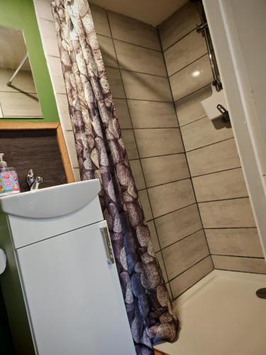 ein Badezimmer mit Dusche und Waschbecken in der Unterkunft Wee Shot in Tain