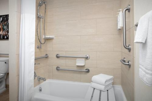 a bathroom with a bath tub and a toilet at Hilton Garden Inn Fort Worth Medical Center in Fort Worth
