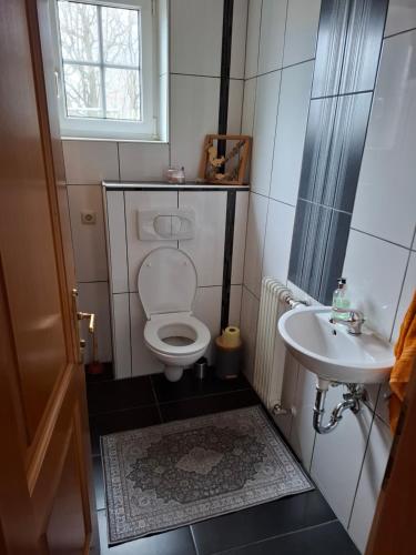 a small bathroom with a toilet and a sink at Bed&Breakfast bei Sabine in Leutschach