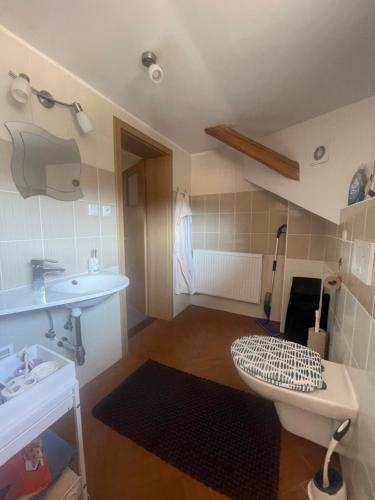 a bathroom with a sink and a toilet at Apartment Krkonošská in Tanvald