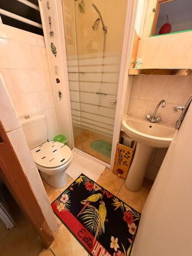 a small bathroom with a toilet and a sink at GITE LE FILAO in Le Lorrain