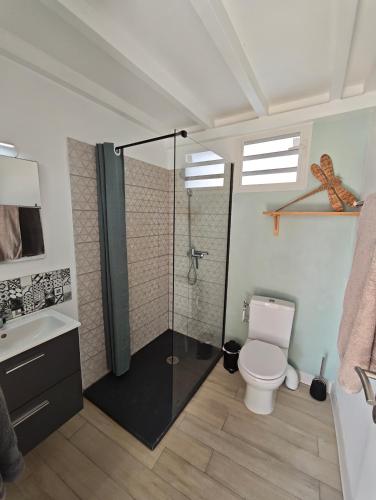 a bathroom with a shower and a toilet and a sink at Appartement au centre de Gosier 7 in Le Gosier