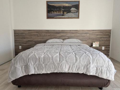 a bedroom with a large bed with a wooden headboard at Pura Vida Apartment in Mostar