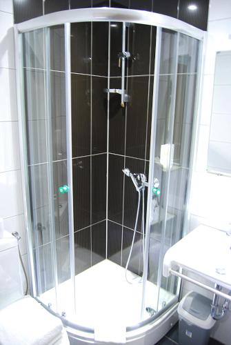 eine Glasdusche in einem Badezimmer mit Toilette in der Unterkunft Parkhotel Bergheim in Bergheim