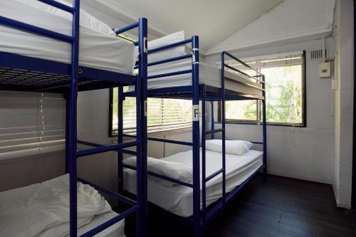 two bunk beds in a room with a window at Glebe Terraces in Sydney