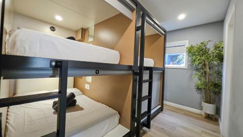 a room with two bunk beds in a house at Seasun Hostel in Los Angeles
