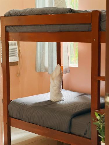 a bunk bed with a pillow on the bottom bunk at Lio house in El Nido