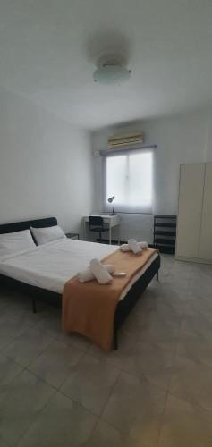 Tranquila, Céntrica y Luminosa Habitación de Matrimonio en Vivienda Compartida