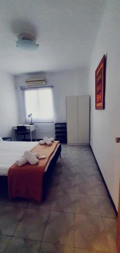 Tranquila, Céntrica y Luminosa Habitación de Matrimonio en Vivienda Compartida
