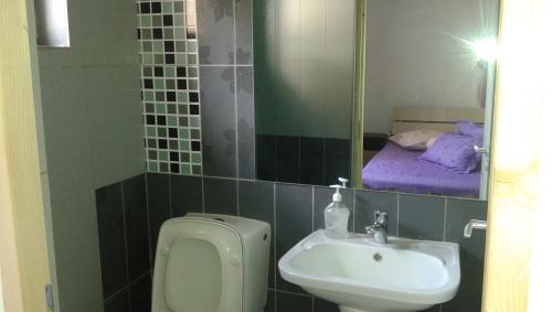 a bathroom with a urinal and a sink and a mirror at Nopti de Vara Transfăgărășan in Căpăţîneni-Pămînteni