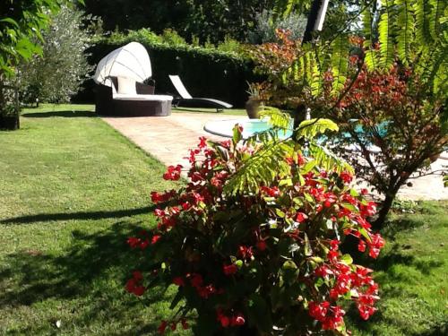 a garden with a bush with red flowers and a bench at Casa la Quiete in Torgiano