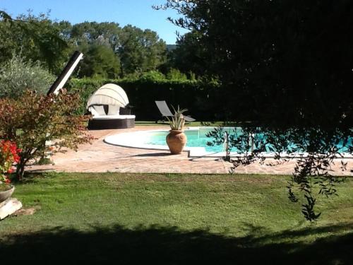 a pool with a plant in a vase in a yard at Casa la Quiete in Torgiano