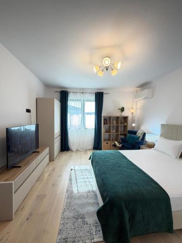 a bedroom with a large bed and a flat screen tv at Old Town Vinyl Retreat near the Cathedral with retro vibes in Iaşi