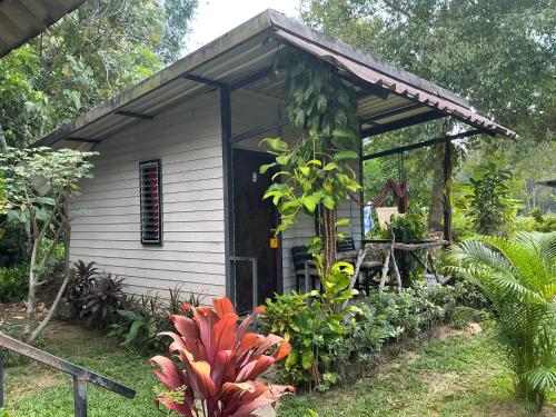 a small house with a bunch of plants in front of it at Green Garden Bungalow Resort in Ban Khlong Kloi