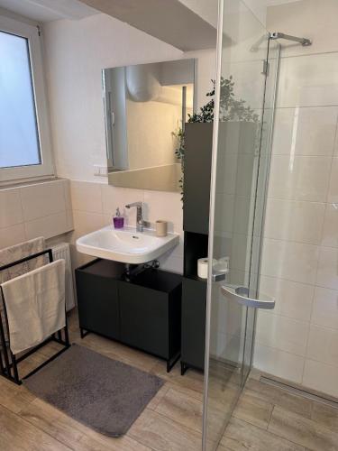a bathroom with a sink and a glass shower at Ferienwohnung am Waldesrand in Blomberg