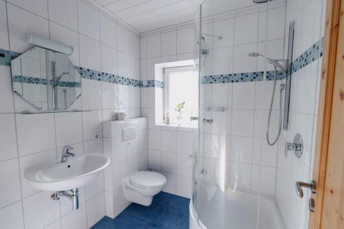 a bathroom with a toilet and a sink and a shower at Ferienhaus Waldzeit in Heimbach