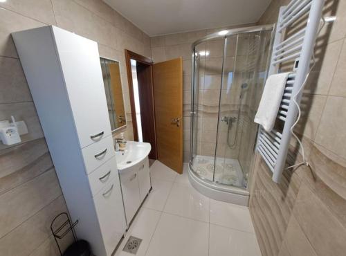 a bathroom with a shower and a sink at Apartment Freya in Zadoborje