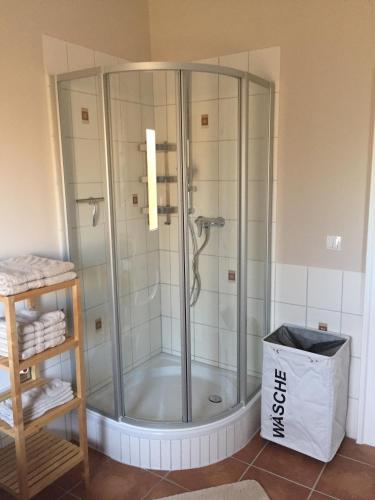 a shower with a glass enclosure in a bathroom at Festspiel Apart Tristan in Bayreuth