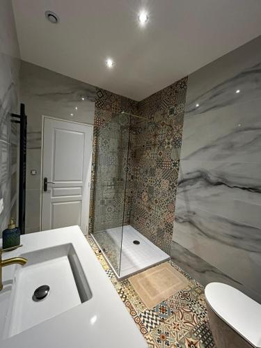 a bathroom with a shower and a white sink at Au papillon des coteaux in Magenta