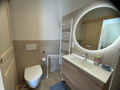 a bathroom with a toilet and a sink and a mirror at Le temps des Pins in La Teste-de-Buch