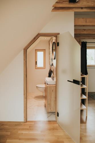 a bathroom with a sink and a toilet in a room at Riverside House Krka in Zagradec