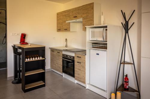 Gîte Spa Cookie في Urschenheim: مطبخ مع ثلاجة بيضاء وميكروويف