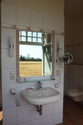 a bathroom with a sink and a mirror and a window at Abschalten und Kraft tanken im Wendland in Schreyahn